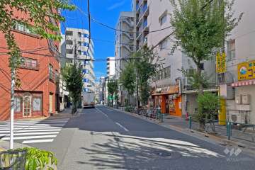 敷地の北側前面道路（西側から）