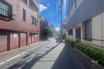 敷地の南側前面道路（西側から）