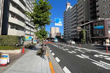 敷地の西側前面道路（南側から）