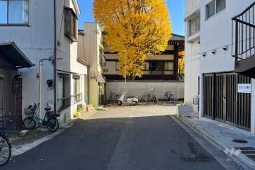 敷地の北側前面道路（西側から）