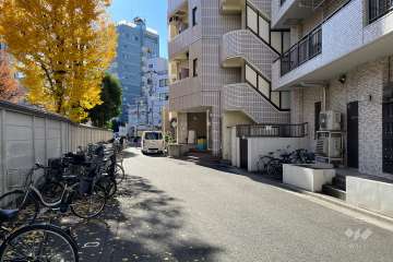 敷地の東側前面道路（北側から）