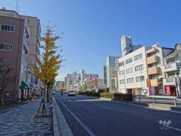 敷地北側の前面道路（国道2号線）