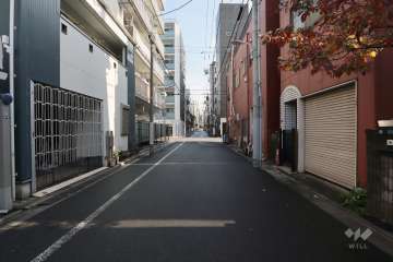 敷地南側の前面道路(西側から)