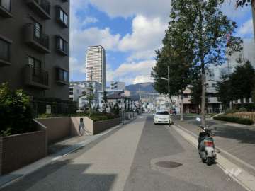 敷地東側の前面道路