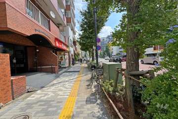 敷地南側の前面道路（西側から）