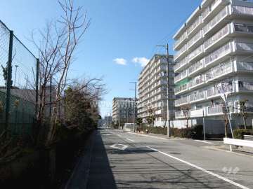 敷地南側の前面道路