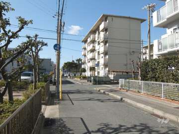 敷地北側の前面道路