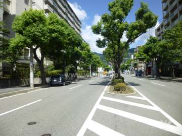 敷地東側の前面道路