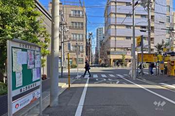 敷地の南側前面道路（西側から）
