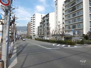 敷地西側の前面道路は十二間道路です。