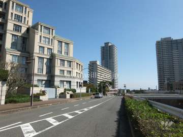 敷地西側の前面道路。道を挟んで住吉川が流れています。