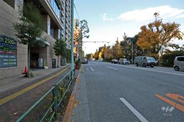 敷地東側の前面道路は不忍通りです(南側から)。道路を挟んで不忍池に面しています。