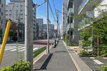 敷地南西側の前面道路（南東側から）