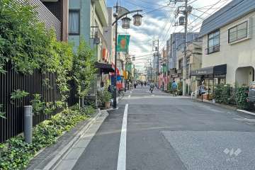敷地の西側前面道路（北側から）