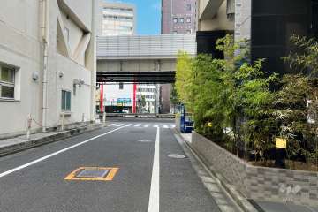 敷地の北東側前面道路（北西側から）