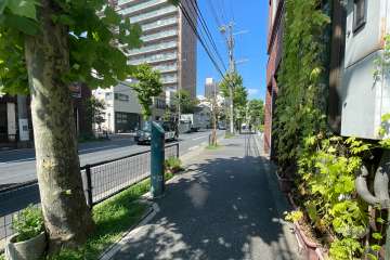 敷地の西側前面道路（南側から）