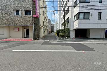 敷地の南西側前面道路（南東側から）