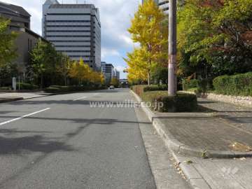 敷地南側の前面道路