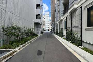 敷地の北側前面道路（東側から）