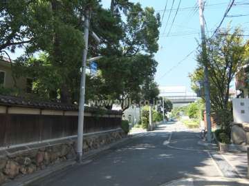 敷地東側の前面道路（南側から）