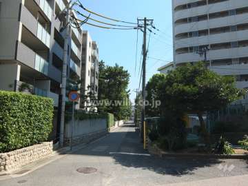 敷地西側の前面道路（北側から）