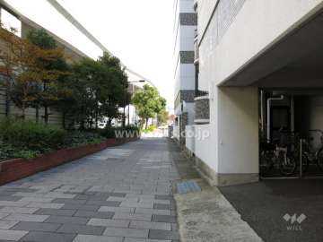 敷地北側の前面道路（国道43号線と阪神高速）
