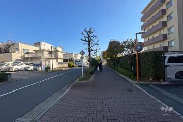 敷地北側の前面道路（西側から）