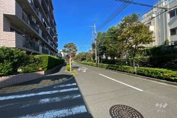 敷地南東側の前面道路（南西側から）