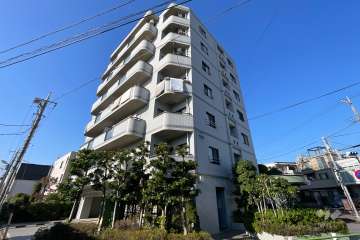 ルイシャトレ金町の外観（北東側から）