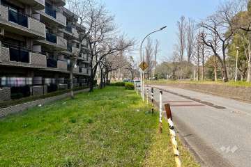 敷地の北東側前面道路（南東側から）
