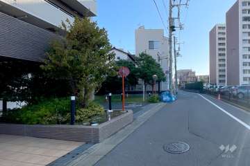 敷地南側の前面道路