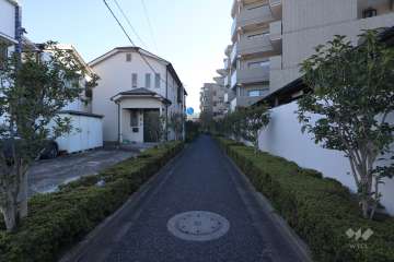 敷地東側の前面道路