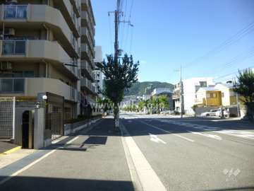 敷地東側の前面道路