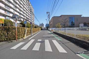 敷地南側の前面道路（西側から）