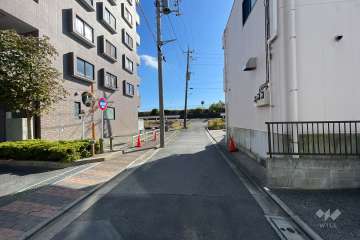敷地の西側前面道路（北側から）