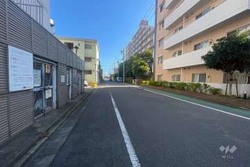 敷地の西側前面道路（南側から）