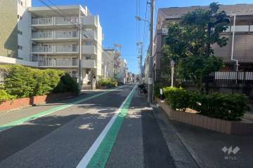 敷地の東側前面道路（北側から）