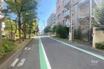 敷地東側の前面道路（北側から）