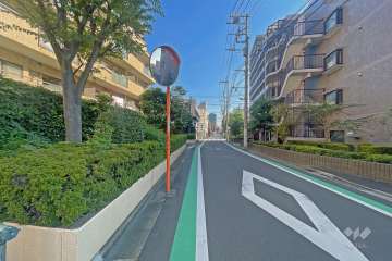 敷地の南側前面道路（西側から）