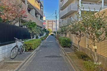 敷地北側の前面道路（西側から）