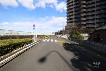 敷地北西側の前面道路は中川沿いです(南西側から)。