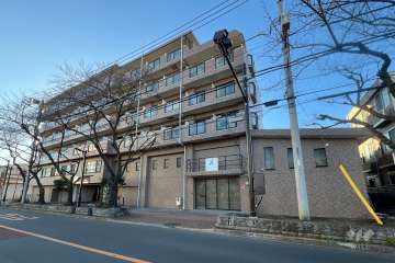 日神パレステージ亀有の外観（北東側から）