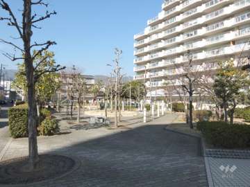 敷地内の広場