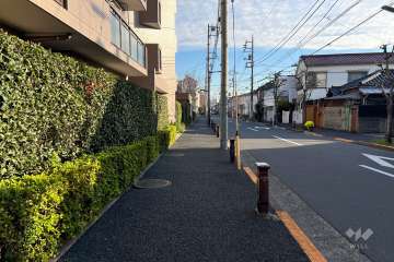 敷地南西側の前面道路（北西側から）