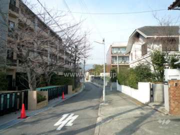 敷地東側の前面道路