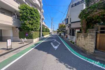 敷地南側の前面道路（西側から）
