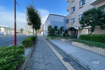 敷地の北西側前面道路（南西側から）