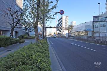 敷地南東側の前面道路(南西側から)