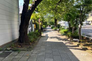 敷地北西側の前面道路　