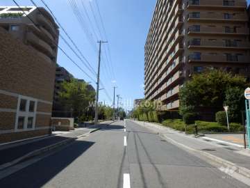 敷地南側の前面道路